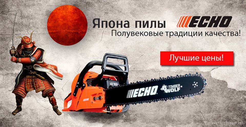 Декоративная жимолость: посадка и уход, виды и сорта