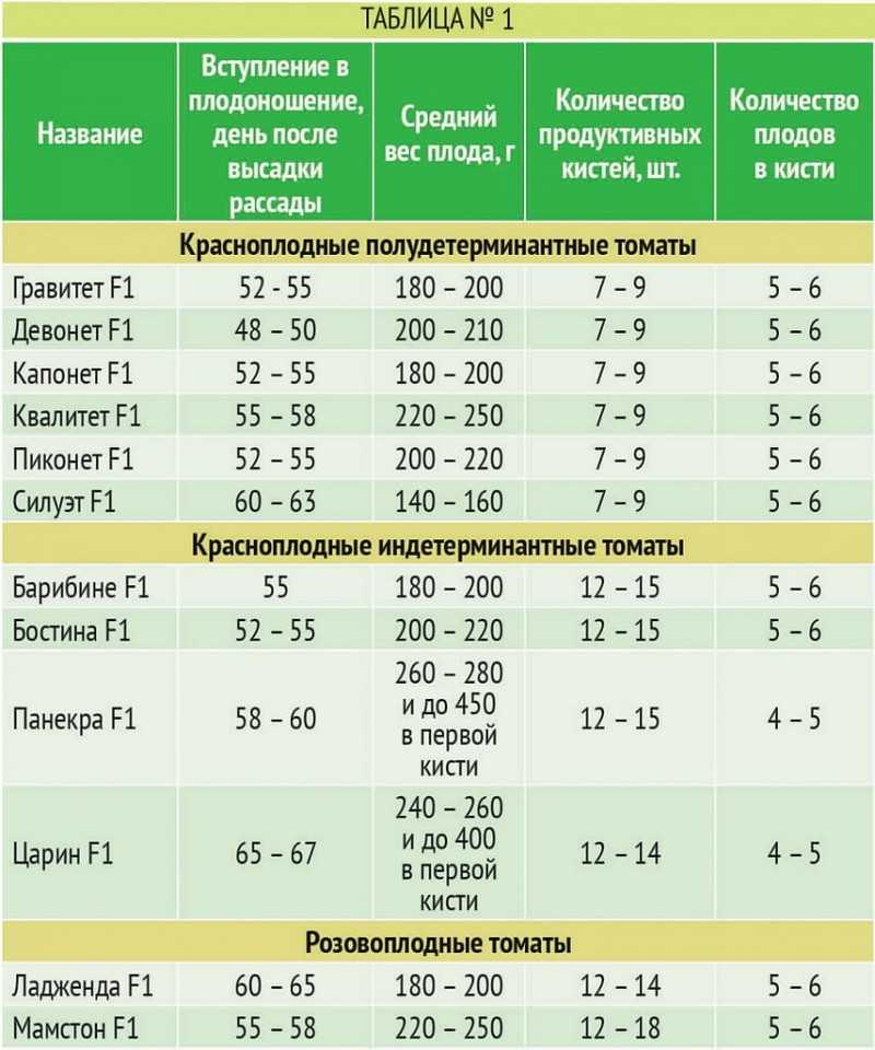 Как получить хороший урожай помидор в открытом грунте