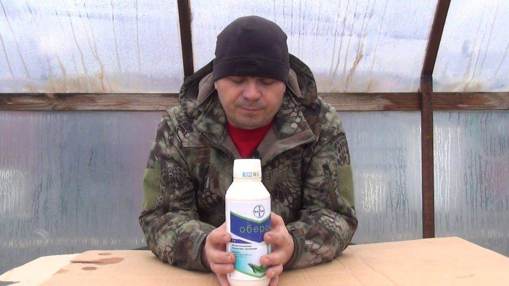 Оберон Рапид