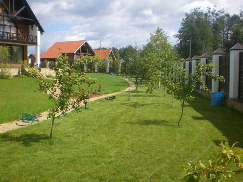 Плодовые-ягодные растения