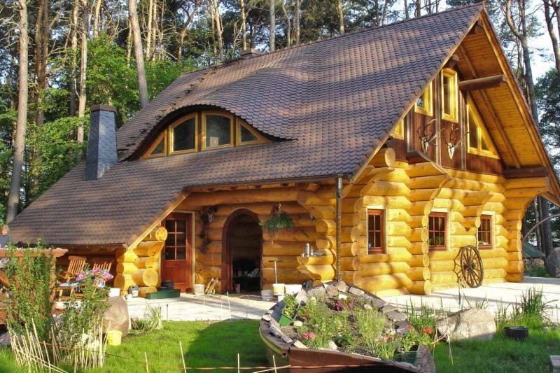 Домашние деревья: лучшие варианты для современного интерьера