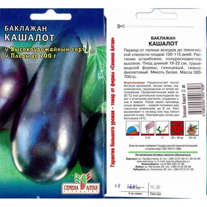 Выращивание баклажанов в домашних условиях