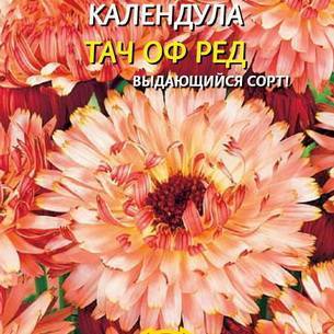 Календула: как выглядит, где растет, описание