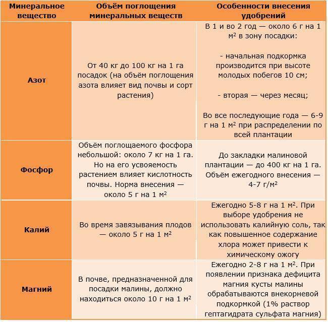 Чем обработать малину от вредителей во время цветения и плодоношения: как бороться