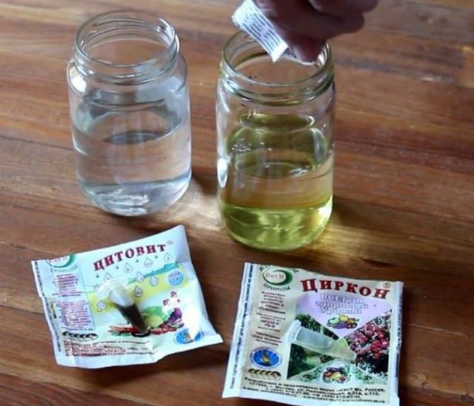 Удобрения и стимуляторы роста