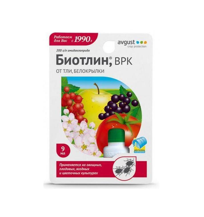 Как избавиться от тли: описание, чем опасна, какие культуры поражает, как определить заражение, обзор методов борьбы - агротехника, народные способы, био-препараты, инсектициды, их плюсы и минусы