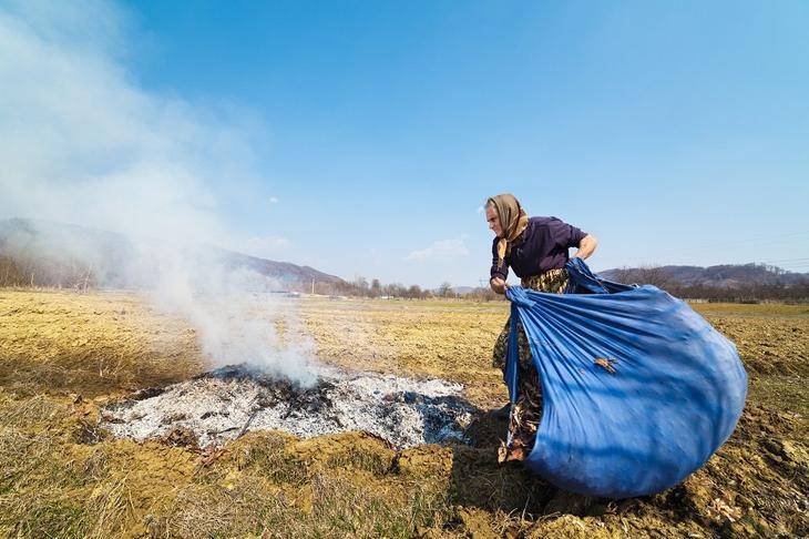 Обязательно ли нужно убирать опавшую листву или от неё может быть польза?