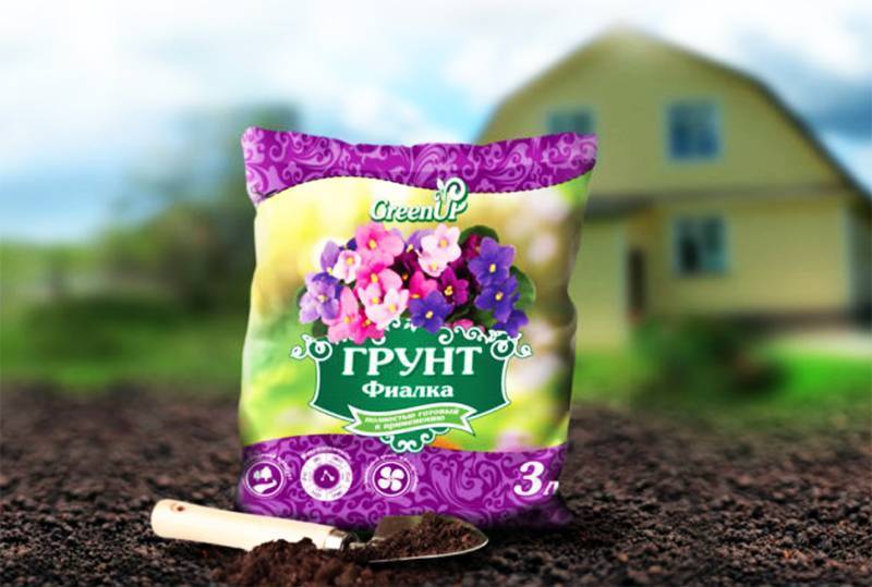 Выращивание укропа на подоконнике – нужны ёмкость, семена, скотч