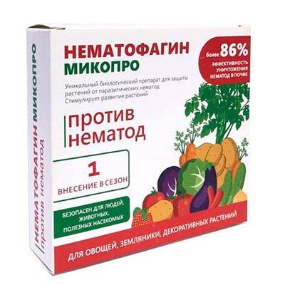 Вредитель нематода – борьба, виды и препараты