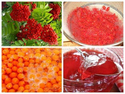Черноплодная рябина на зиму: лучшие рецепты заготовок с фото