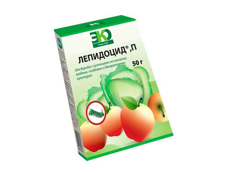 Лепидоцид