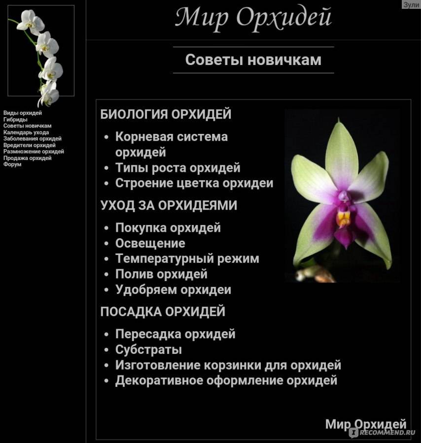 Уход за орхидеями для новичков