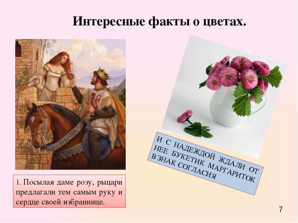 Интересные факты о растениях