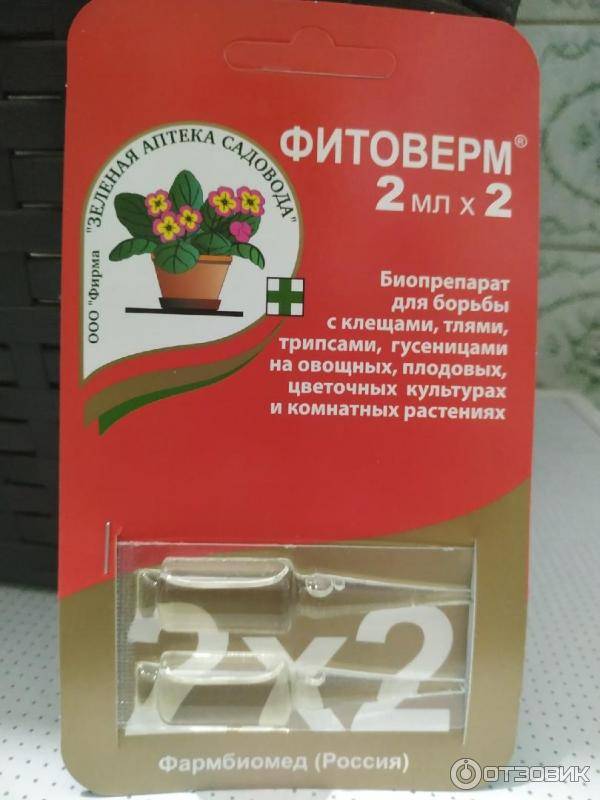 Обработка яблони от тли: что делать и как избавиться от вредителя