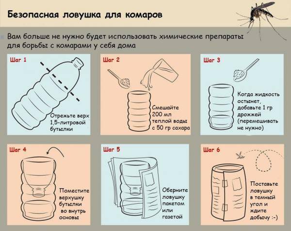 Отпугиваем комаров с помощью растений