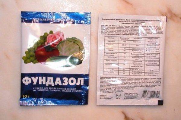 Виола: выращивание из семян, виды и сорта