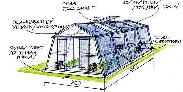 Какая теплица лучше: отзывы, производители и характеристики теплиц, советы по выбору