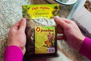 Каттлея в домашних условиях, сорта