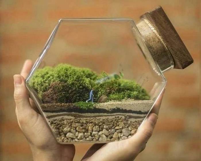 Флорариум с суккулентами — 5 интересных идей и пошаговая инструкция