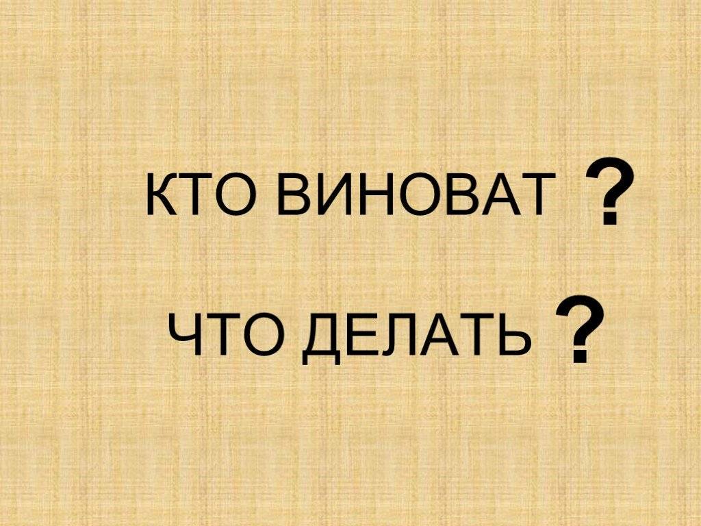 У орхидей желтеют листья нижние — почему и как спасти: описание с фото, причины и лечение, уход в домашних условиях, что делать, если теряют тургор и отвалились selo.guru — интернет портал о сельском