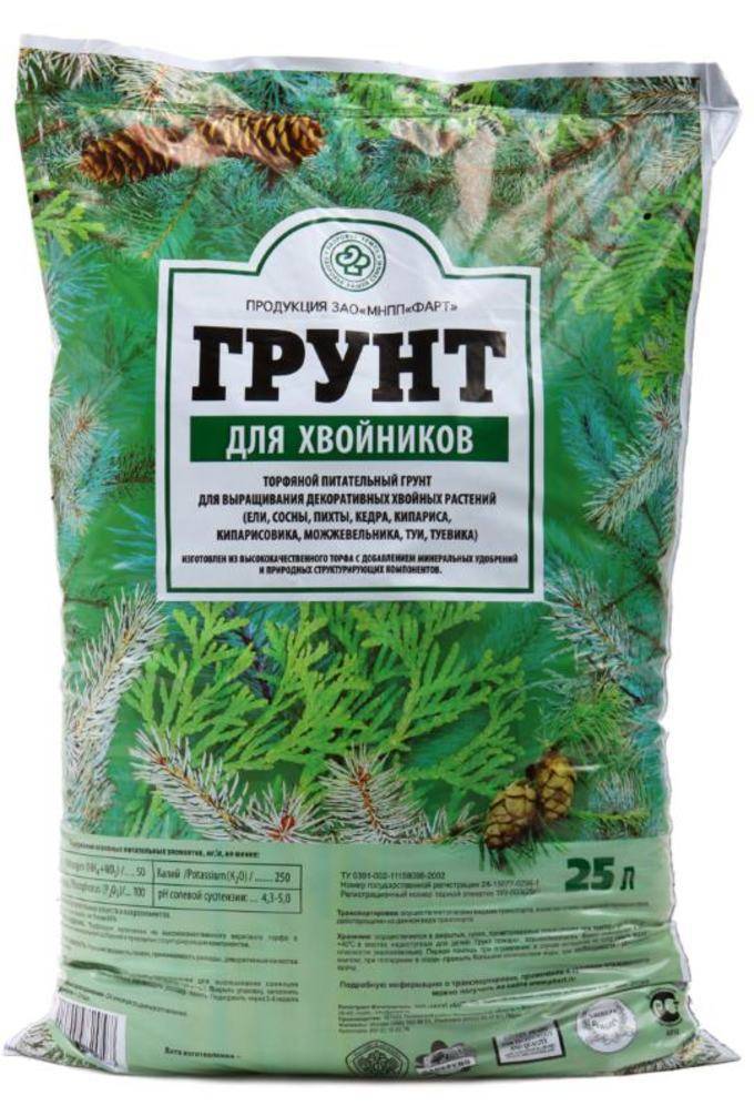 Кипарисовик: выращивание, размножение, виды и сорта