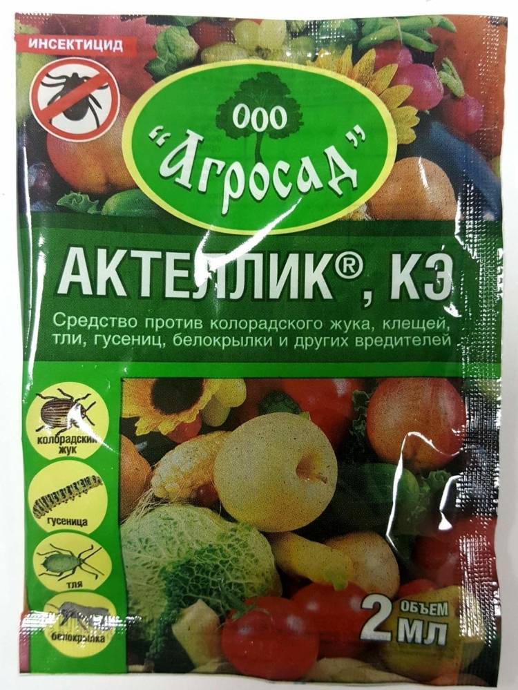 Средство от трипсов на комнатных растениях: причины появления, обзор методов борьбы, отзывы