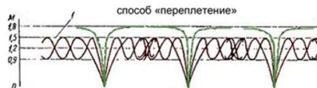 Что нужно знать об осенней обрезке ежевики – пара дельных советов