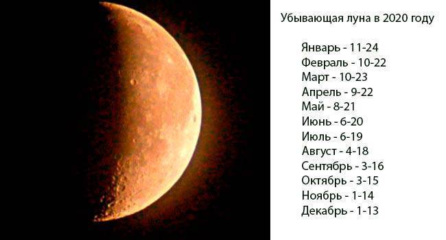 Лунный календарь садовода на август: благоприятные дни для посева и посадки