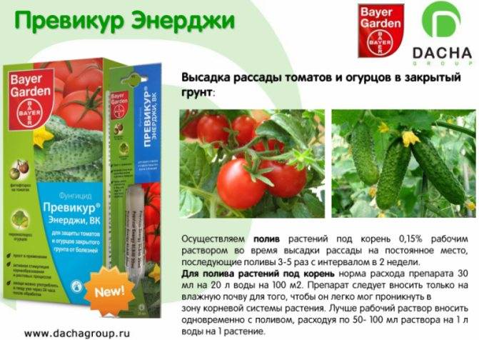Превикур энерджи отзывы - лекарства - первый независимый сайт отзывов россии