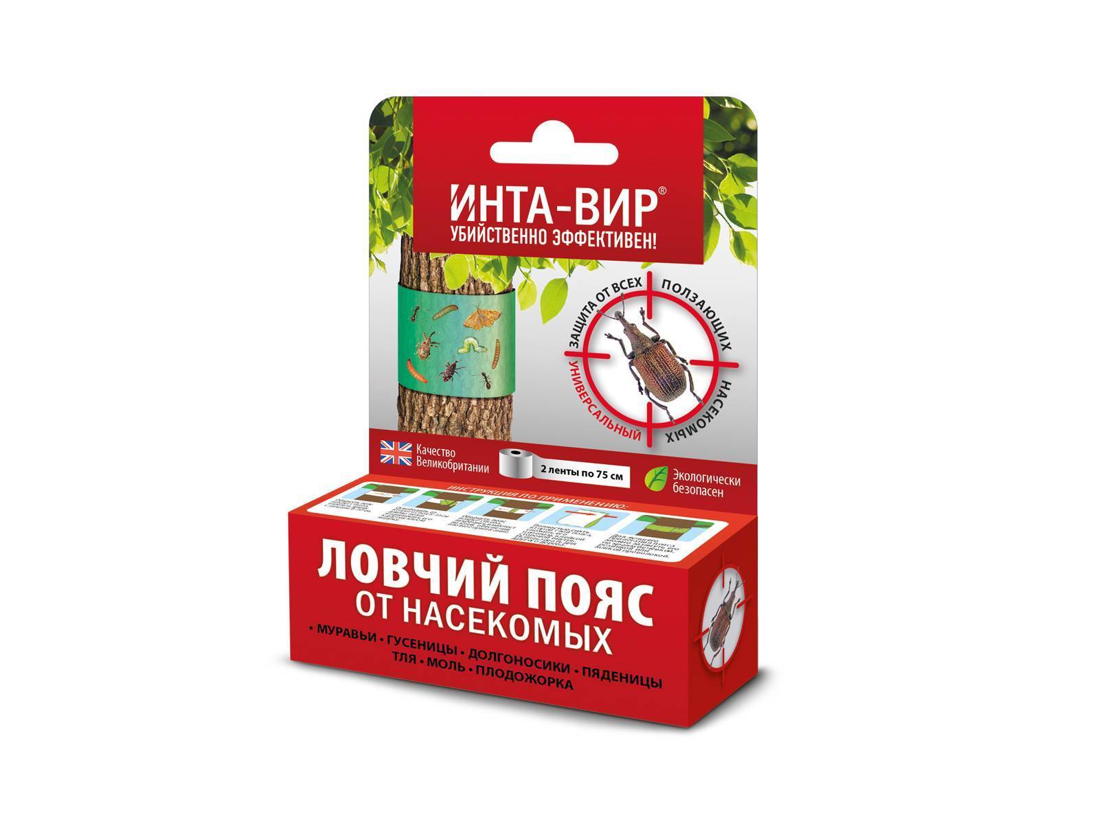 Интавир: инструкция по применению, как использовать для комнатных растений, в саду и для овощных культур