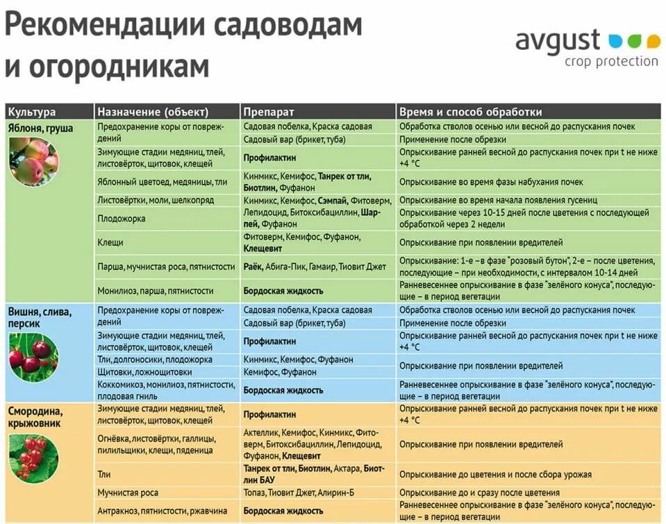 Весенняя обработка малины от вредителей и болезней
