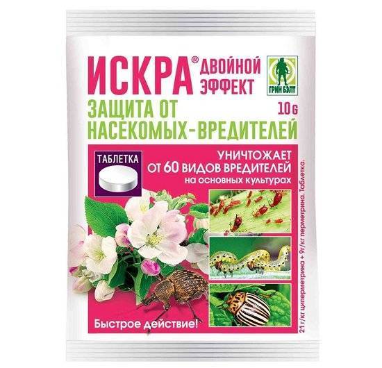 Белокрылка: как избавиться в теплице и на комнатных цветах