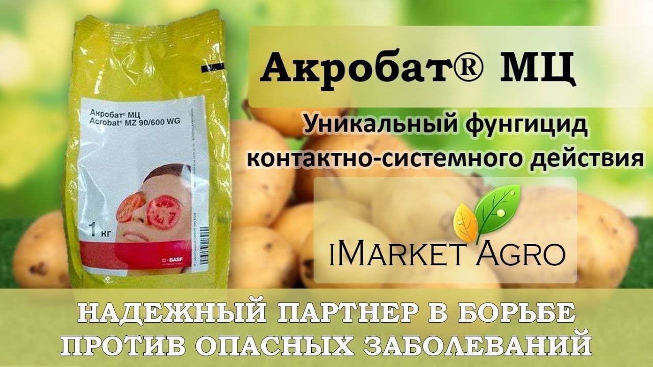Препарат "гамаир": инструкция по применению, отзывы, когда обрабатывать растения