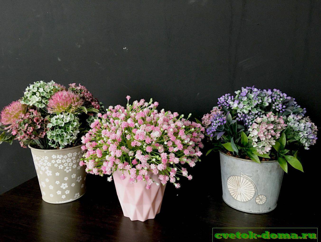 Как и когда пересаживать комнатные растения: фото, этапы и правила