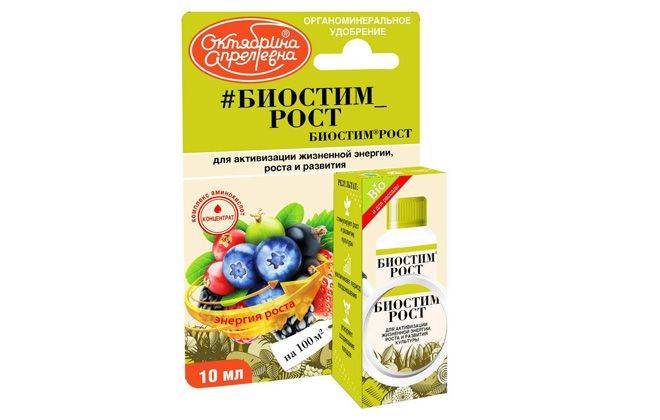 Как приготовить раствор для обработки севка лука и как сажать его в грунт