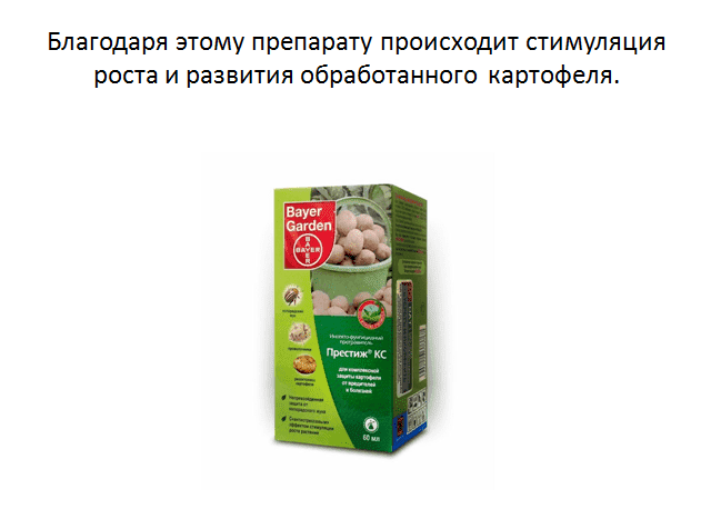 Престиж для обработки картофеля, вредит ли здоровью?