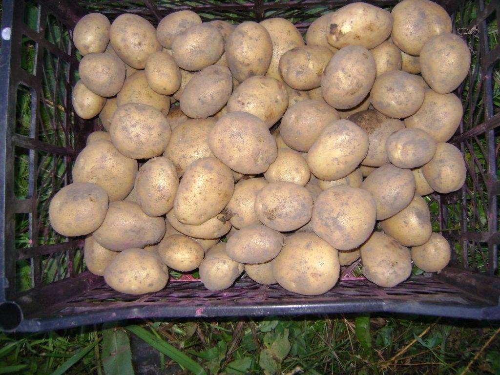 Престиж