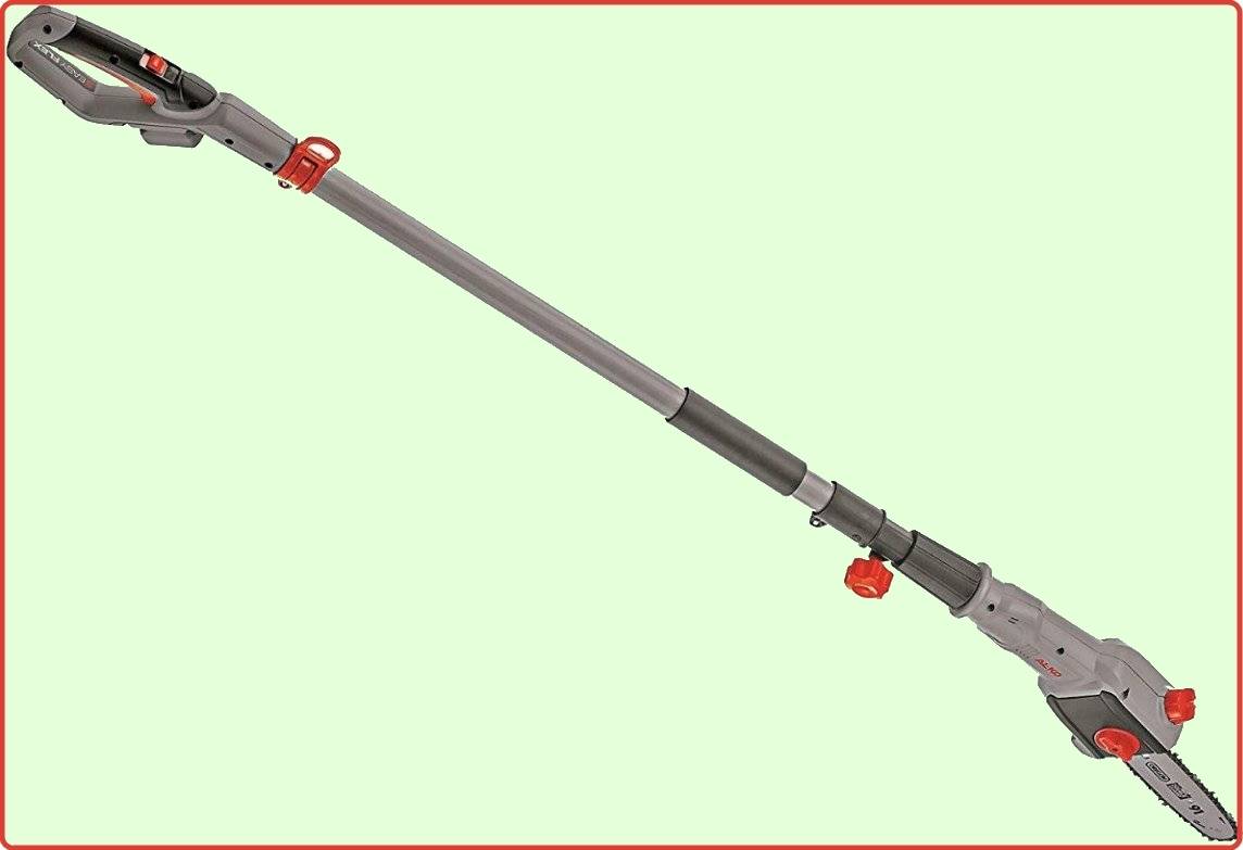 Что нужно знать о весенней обрезке яблонь