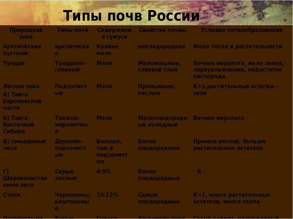 Чернозем: что это такое, его состав, свойства, как он выглядит и как формируется