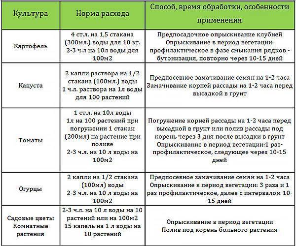Обработка томатов фитоспорином
