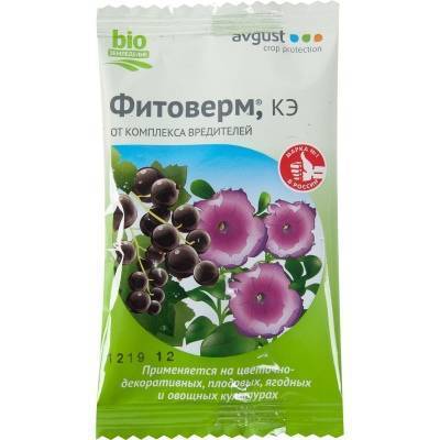Вредители трипсы: фото и борьба с ними