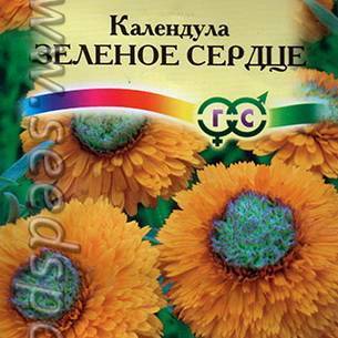 Календула: как выглядит, где растет, описание
