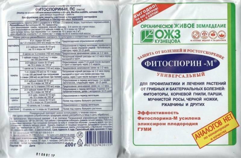 Крыжовник: болезни и вредители и борьба с ними