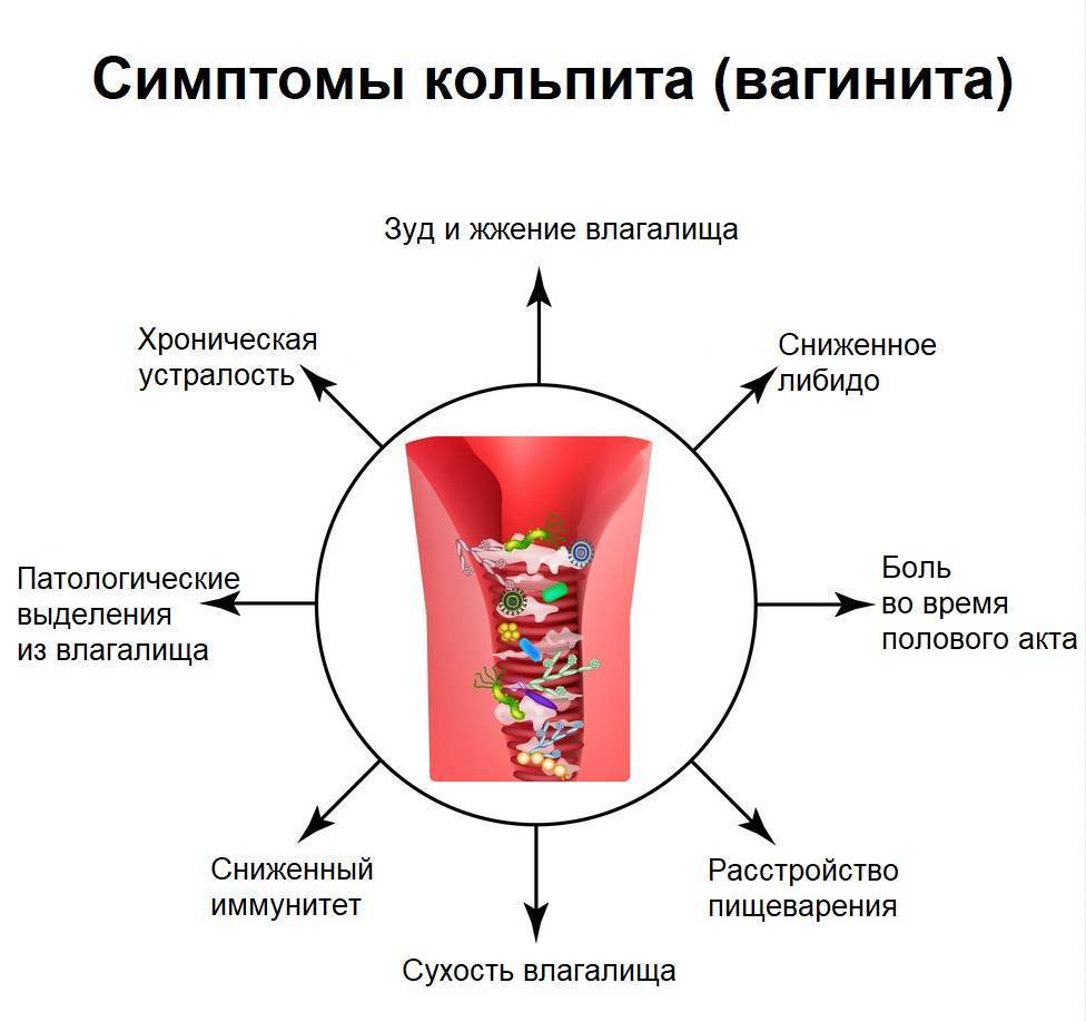 Мильдью и оидиум на винограде: меры комплексной борьбы, обработка