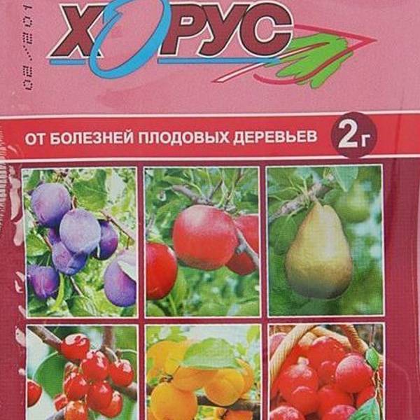Фунгициды для растений: обзор препаратов, применение, эффективность, отзывы