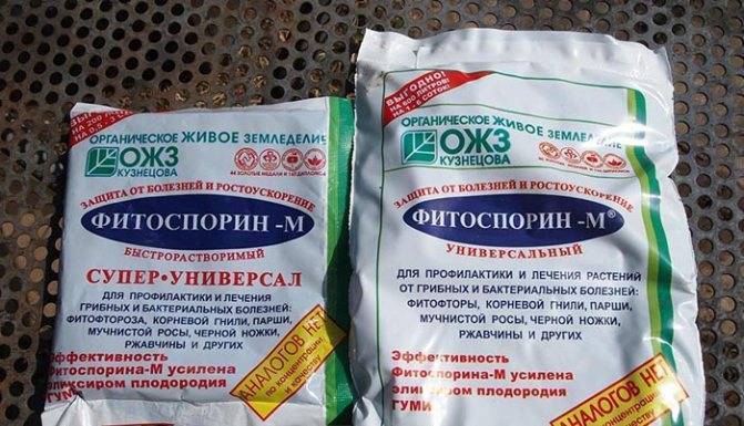 Фунгициды для растений: обзор препаратов, применение, эффективность, отзывы