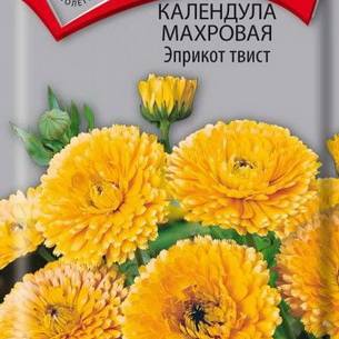 Календула: как выглядит, где растет, описание