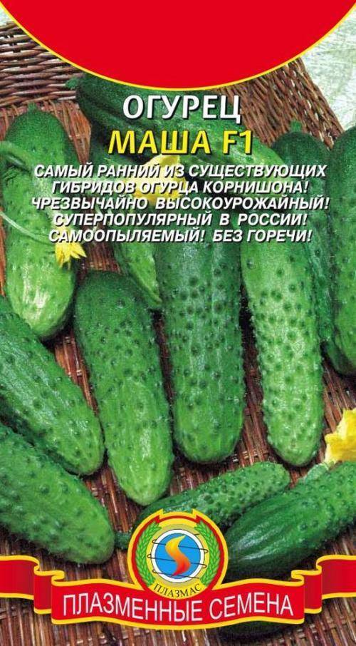 4 компонента, которые помогут увеличить урожай и продлить плодоношение огурцов