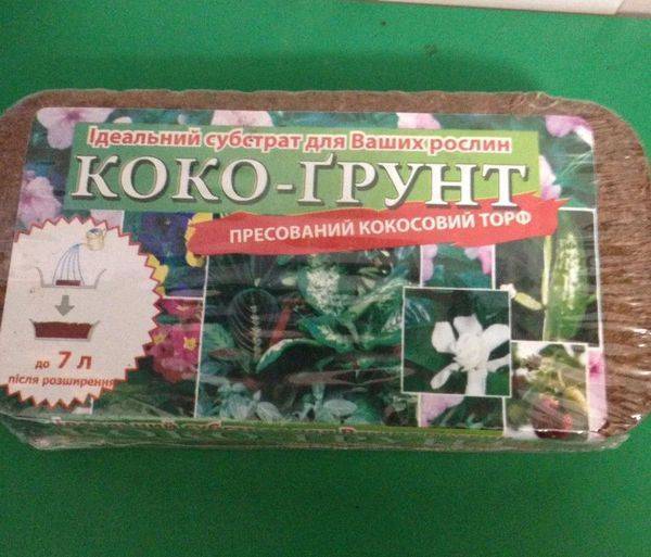 Рассада в кокосовом субстрате – защита от чёрной ножки