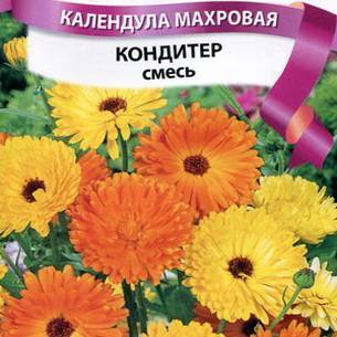 Календула: как выглядит, где растет, описание